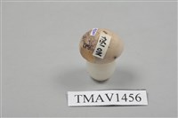 藏品(草鵐卵)的圖片